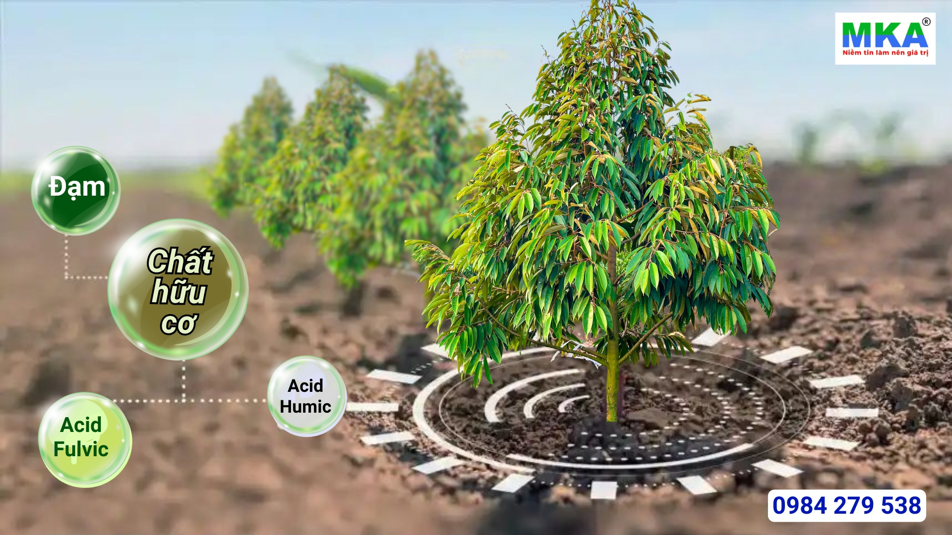 Tại sao phải cải tạo đất trồng